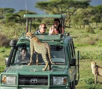 The Best National Parks in Tanzania: A Guide to the Northern and Southern Circuits